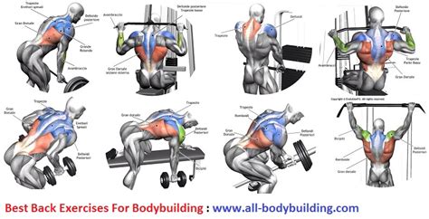 Best Back Exercises For Bodybuilding ~ multiple fitness