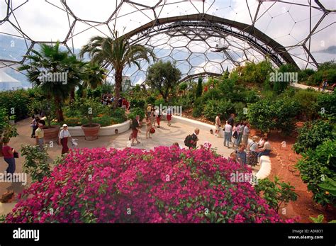 Eden Project Biomes