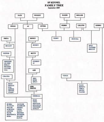 Booth Kitchen Pic: Booth Family Tree