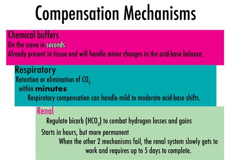 Concept Mastery: Acid-Base Balance