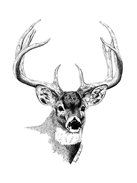 Christmas Drawings Of Deer 2023 Cool Latest List of | Christmas Eve ...