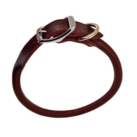 Rolled Leather Buckle Dog Collar - J&J Dog Supplies