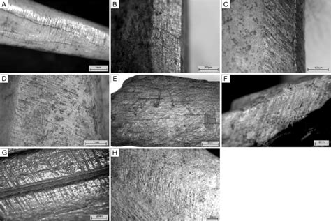 Examples of different grinding techniques identified on selected... | Download Scientific Diagram