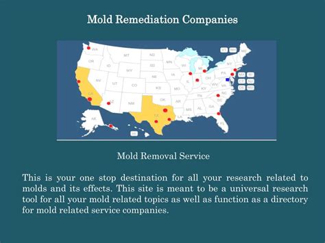 PPT - Mold remediation companies PowerPoint Presentation, free download - ID:7702318