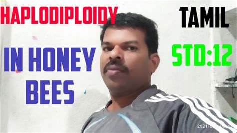 Haplodiploidy in honey bees in tamil, - YouTube