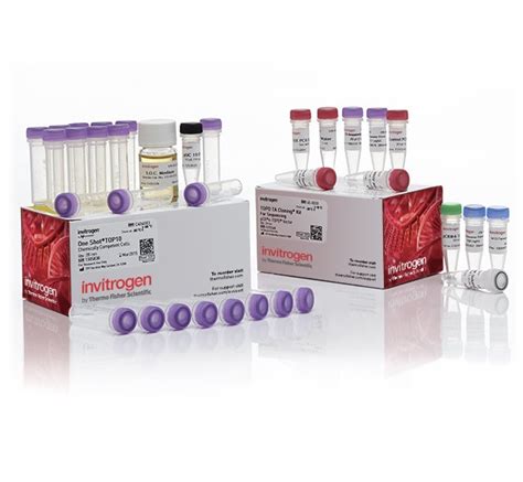 TOPO™ TA Cloning™ Kit for Sequencing, with One Shot™ TOP10 Chemically Competent E. coli