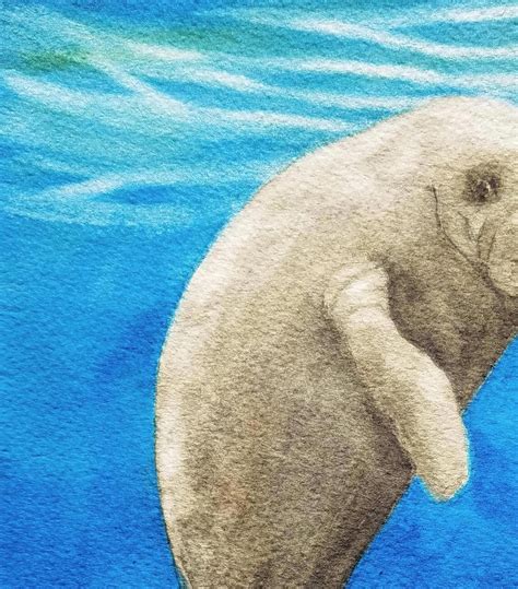 Manatee Art, Manatee Painting, Coastal Decor, Beach Painting, Anna ...