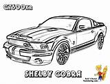 Print Out This Fierce Ford Car Coloring Mustang Shelby GT 500  sketch template