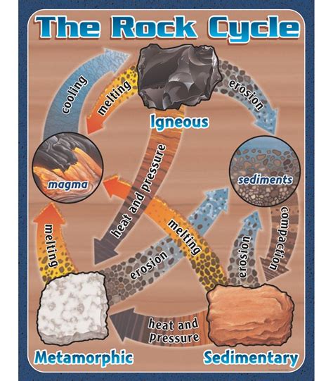 Free Rock Cycle Cliparts, Download Free Rock Cycle Cliparts png images, Free ClipArts on Clipart ...