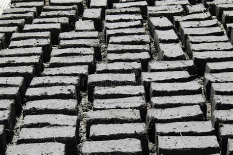 Mud Bricks Drying In The Sun Picture. Image: 4953113