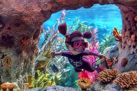 Finding Nemo Ride at Disneyland: Things You Need to Know