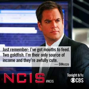 Dinozzo Ncis Quotes. QuotesGram