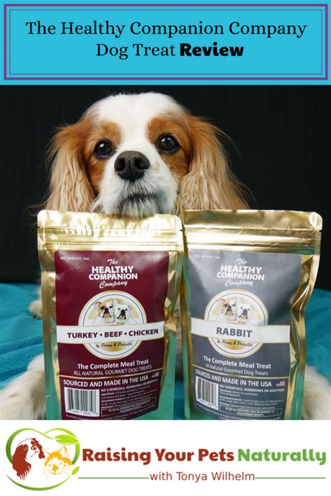 Best Natural Dog Training Treats for Motivation | The Healthy Companion Company Dog Treat Review ...