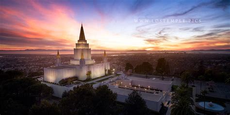 7 Pictures of the Oakland Temple You Haven’t Seen (probably) – LDS ...