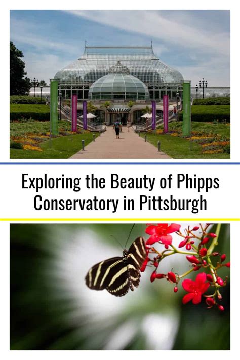 Exploring the Beauty of Phipps Conservatory in Pittsburgh - Uncovering PA