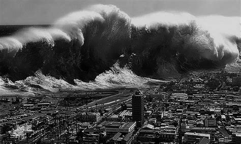 Tsunami Wikipedia