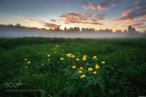 June foggy - | Cool landscapes, Landscape photography, Foggy