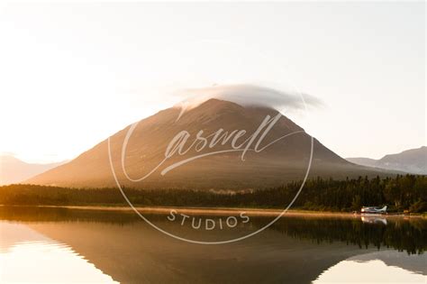 Caswell Studios | Online Gallery