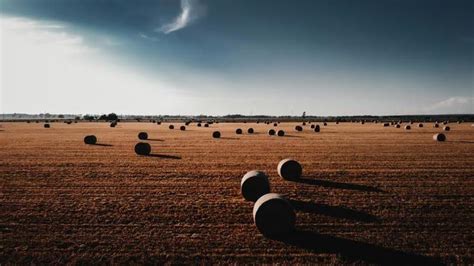 Cover Page Agriculture Stock Photos, Images and Backgrounds for Free ...