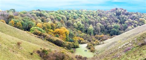 Discover the beautiful Chiltern Hills, just 35 miles from London ...