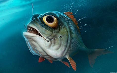 Piranha Wallpapers - Wallpaper Cave