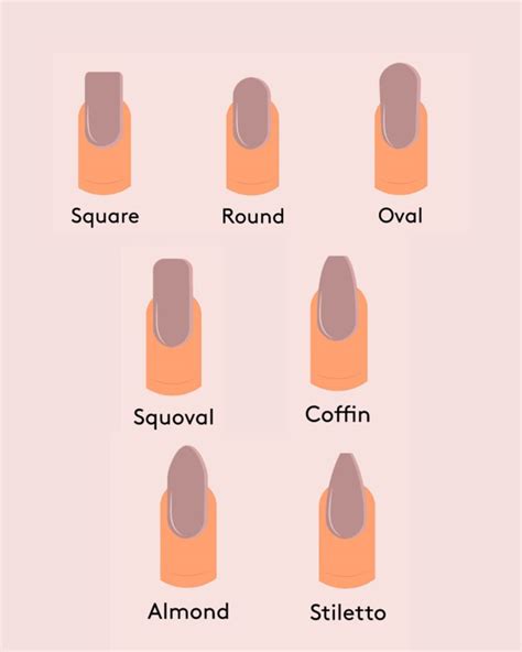 The Definitive Guide to Different Nail Shapes | Nail shapes, Different ...