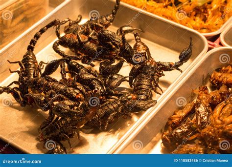 Fried Scorpions and Snack Insects in a Street Market, Bangkok, Thailand Stock Photo - Image of ...