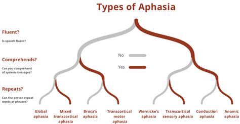 Aphasia - Types, Causes, Symptoms, Diagnosis, Treatment