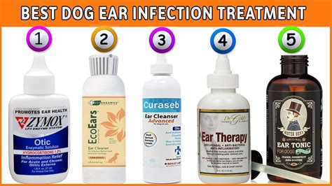 What Is The Best Antibiotic For A Dogs Ear Infection