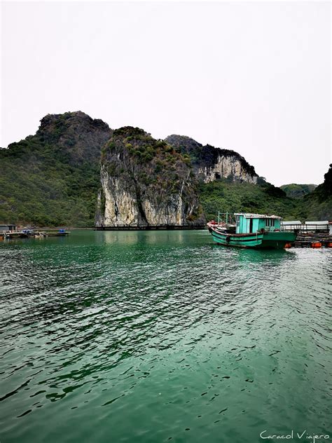 Crucero en la Bahía de Halong, ¿de 2 o 3 días? - Caracol Viajero