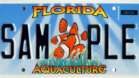 Images: Florida's specialty license plates