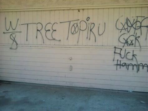 blood gangs graffiti: Tree top piru ( compton , TTP )