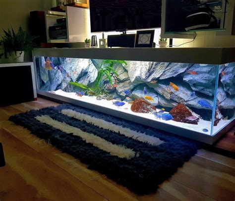 #aquariumfishtanksanimals | Fish tank decorations, Aquarium, Cool fish tanks