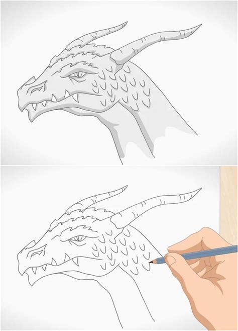 25 Easy Dragon Head Drawing Ideas - How to Draw