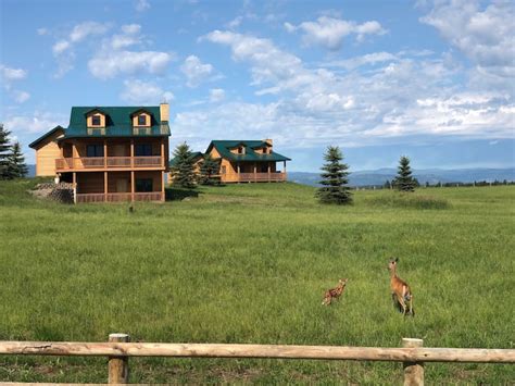 Montana Cabin Rentals | Cottage and Cabin Rentals | Airbnb