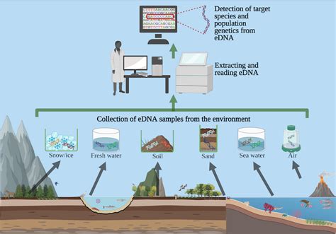 You shed DNA everywhere you go – trace samples in the water, sand and air are enough to identify ...