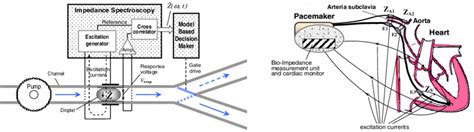 Different applications of bioimpedance spectroscopy in bio-and medical ...