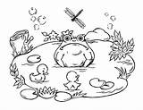 Cute Frog Coloring sketch template