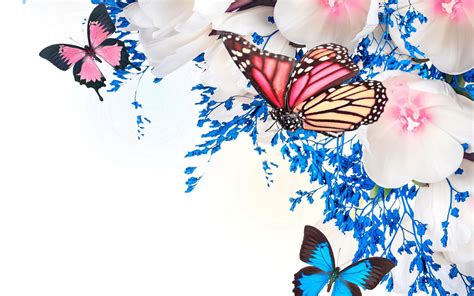 Butterfly Spring Wallpapers - Wallpaper Cave