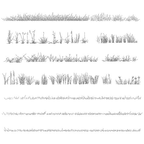 Grass DWG CAD Blocks in Elevation – Cadnature