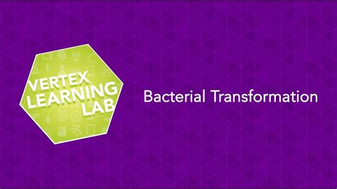 Learning Lab: How Bacterial Transformation Works | Vertex Pharmaceuticals - YouTube