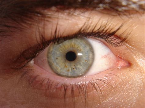 File:My eye.jpg - Wikimedia Commons