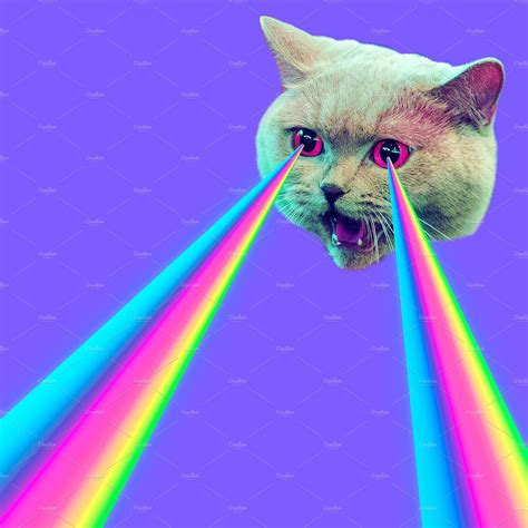 Evil Cat with rainbow lasers from ey | Beauty & Fashion Stock Photos ...