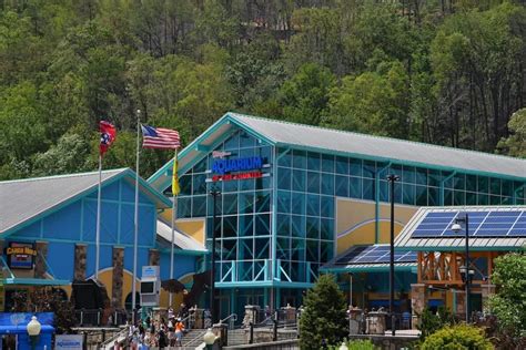 5 Animals You Will Love at Ripley’s Aquarium of the Smokies in Gatlinburg