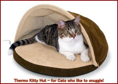 Recommended Heated Cat Beds (Indoor, Outdoor, and Alternatives) | PetHelpful