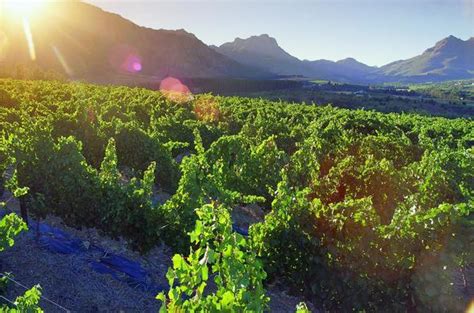 Full Day Cape Winelands Tour - South Africa Tours & Day Trips