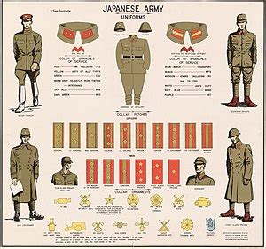 Dienstgrade der kaiserlich-japanischen Armee - Ranks of the Imperial Japanese Army - abcdef.wiki