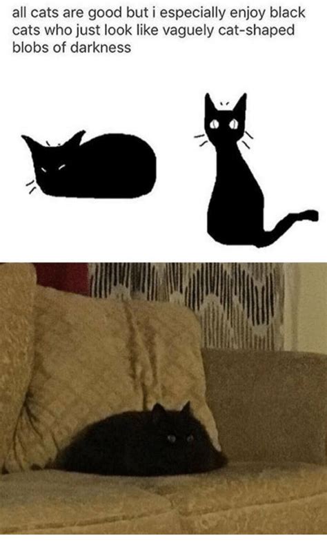 These 27 Lazy Cat Memes Are All You Need This Caturday | Cat memes ...