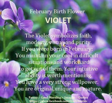 Pin by brenda guffey on Funny things | Birth flowers, February birthday quotes, February birth ...