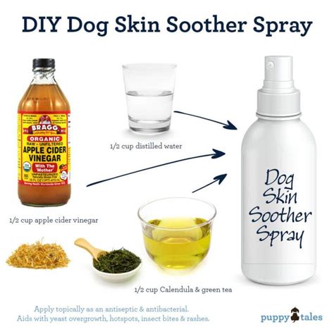 Great Home Made Spray for an Itchy Dog - Dogs First | Dog skin soother, Itchy dog, Dog remedies